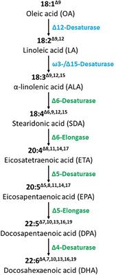 Food and Feed Safety of NS-B5ØØ27-4 Omega-3 Canola (Brassica napus): A New Source of Long-Chain Omega-3 Fatty Acids